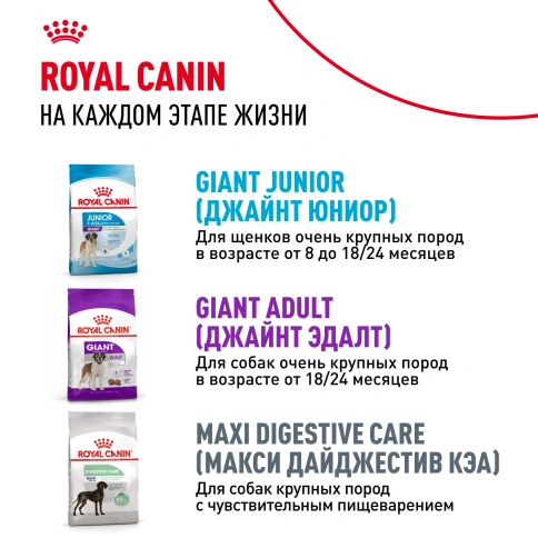 Сухой корм Royal Canin Giant Puppy для щенков, 3,5 кг фото 8
