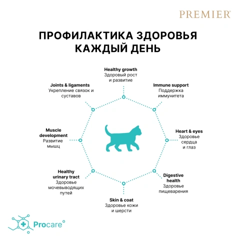 Сухой корм Premier Cat Turkey Kitten для котят, с индейкой, 2 кг фото 4