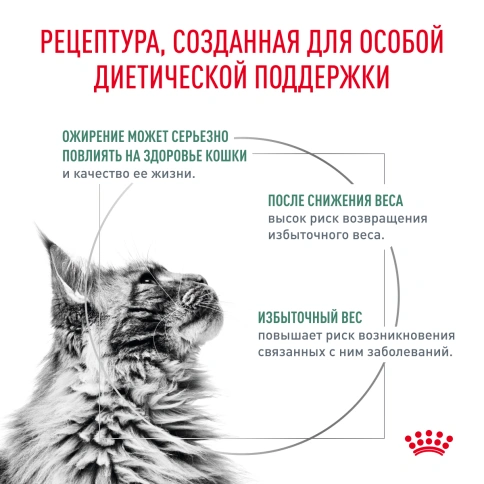 Сухой корм Royal Canin Satiety Weight Management для кошек для снижение веса, 3,5 кг фото 3