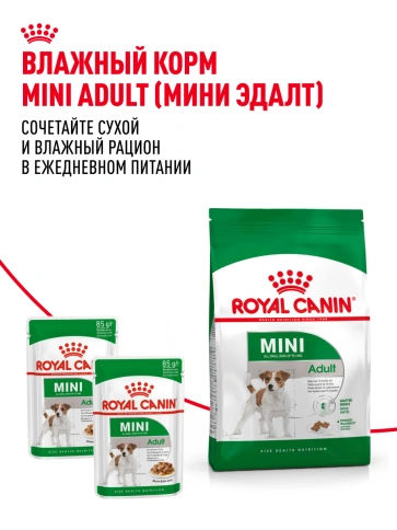 Сухой корм Royal Canin Mini Adult для взрослых собак, 8 кг фото 22