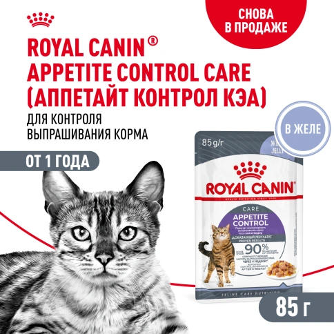 Влажный корм Royal Canin Appetite Control Care в желе для взрослых кошек, для контроля выпрашивания корма, пауч, 85 г фото 1