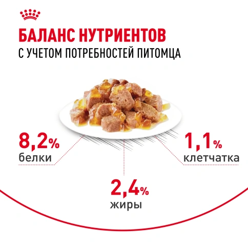 Влажный корм Royal Canin Appetite Control Care в желе для взрослых кошек, для контроля выпрашивания корма, пауч, 85 г фото 4