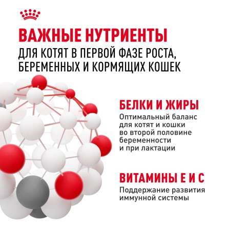Сухой корм Royal Canin Mother & Babycat для котят, беременных и лактирующих кошек, 400 г фото 6