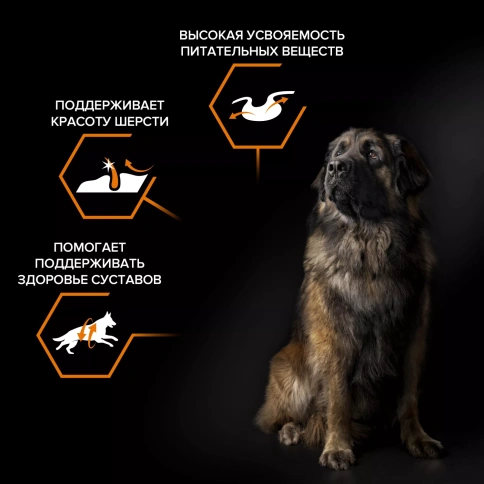 Сухой корм PRO PLAN Chicken для взрослых собак крупных пород с мощным телосложением, с высоким содержанием курицы, 18 кг фото 2