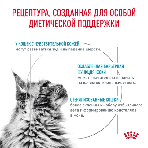 Сухой корм Royal Canin Skin & Coat для кошек, 3,5 кг фото 2