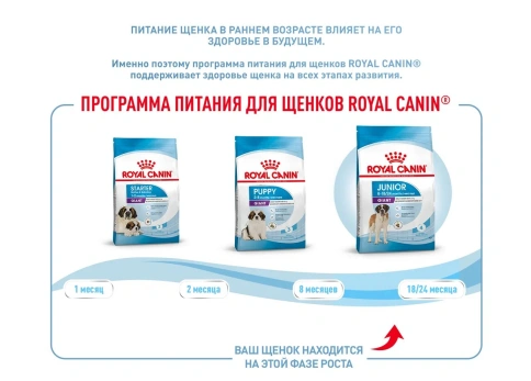 Сухой корм Royal Canin Giant Junior для щенков, 3,5 кг фото 15