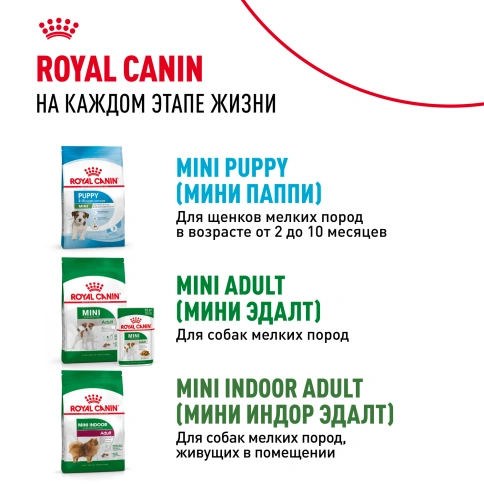 Сухой корм Royal Canin Mini Starter Mother & Babydog для щенков и кормящих сук, 1 кг фото 11