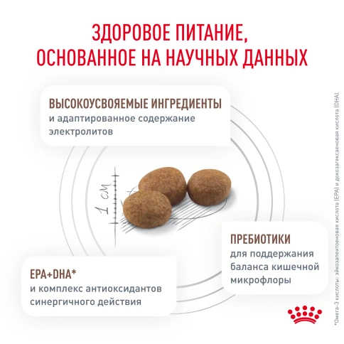 Сухой корм Royal Canin Gastrointestinal Low Fat для собак, 1 кг фото 4