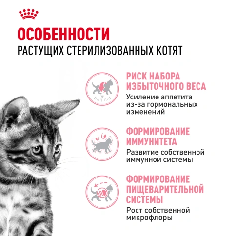 Сухой корм Royal Canin Kitten Sterilised для котят, 400 г фото 3