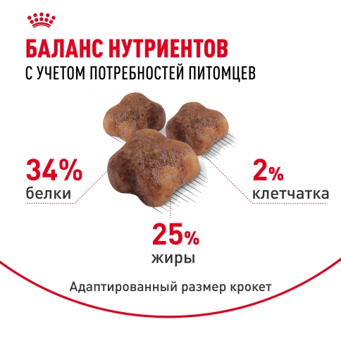 Сухой корм Royal Canin Mother & Babycat для котят, беременных и лактирующих кошек, 4 кг фото 4