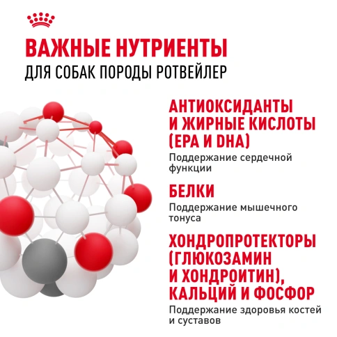 Сухой корм Royal Canin Rottweiler Adult для взрослых собак, 12 кг фото 5