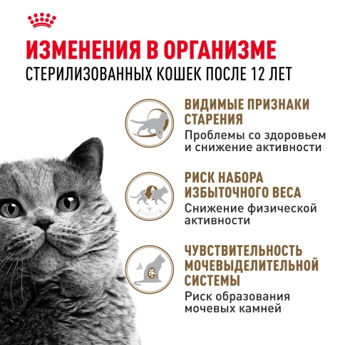 Сухой корм Royal Canin Ageing Sterilised 12+ для стерилизованных кошек старше 12 лет, 400 г фото 3