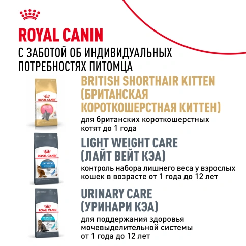 Сухой корм Royal Canin British Shorthair для кошек породы британская короткошерстная, 4 кг фото 10
