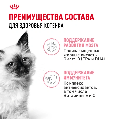 Влажный корм Royal Canin Kitten в соусе для котят до 12 месяцев, пауч, 85 г фото 10