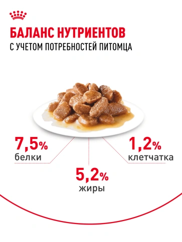 Влажный корм Royal Canin Mini Adult в соусе для взрослых собак мелких пород старше 10 месяцев, пауч, 85 г фото 4
