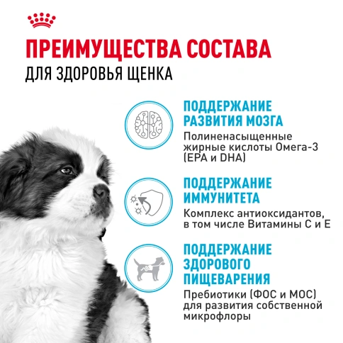 Сухой корм Royal Canin Giant Puppy для щенков, 3,5 кг фото 3