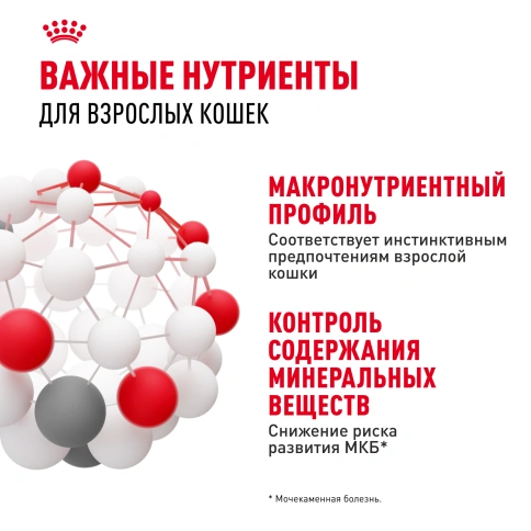 Влажный корм Royal Canin Instinctive в соусе для взрослых кошек старше 1 года, пауч, 85 г фото 4