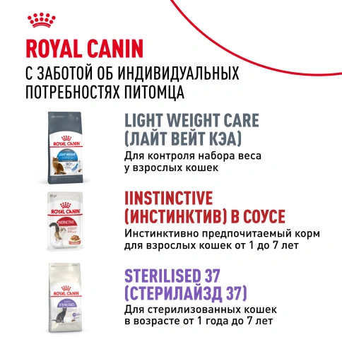 Влажный корм Royal Canin Indoor sterilised в желе для кошек, живущих в помещении, пауч, 85 г фото 10
