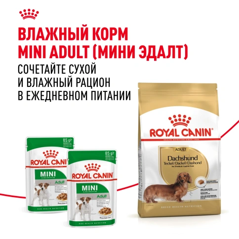 Сухой корм Royal Canin Dachshund Adult для собак породы такса, 7,5 кг фото 8
