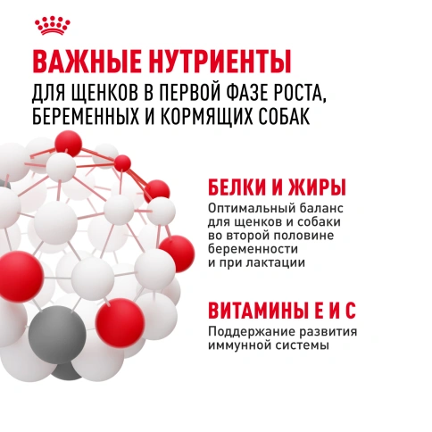 Сухой корм Royal Canin Mini Starter Mother & Babydog для щенков и кормящих сук, 8,5 кг фото 5