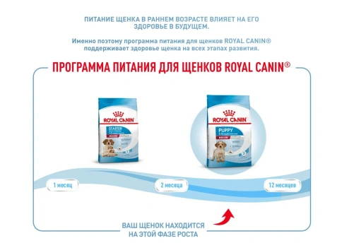 Сухой корм Royal Canin Medium Puppy для щенков, 14 кг фото 16