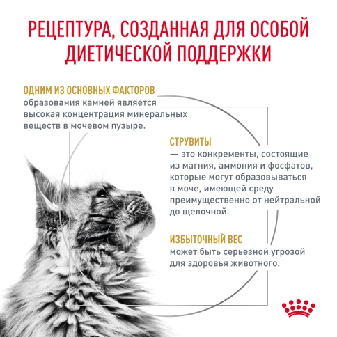 Сухой корм Royal Canin Urinary S/O Moderate Calorie для кошек, 7 кг фото 3