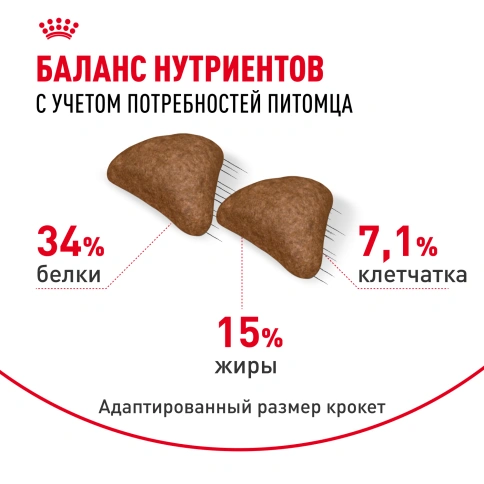 Сухой корм Royal Canin Hairball Care для кошек, 10 кг фото 4