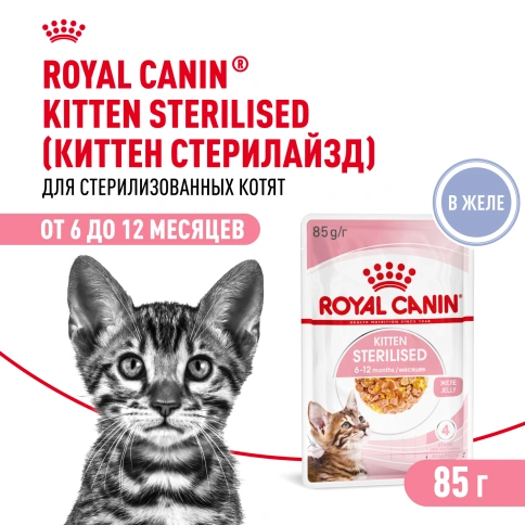Влажный корм Royal Canin Kitten Sterilised в желе для стерилизованных котят до 12 месяцев, пауч, 85 г фото 1