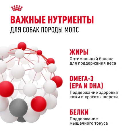 Сухой корм Royal Canin Pug Adult для взрослых собак, 500 г фото 5