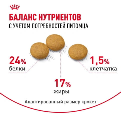 Сухой корм Royal Canin Medium Dermacomfort для собак, 3 кг фото 4