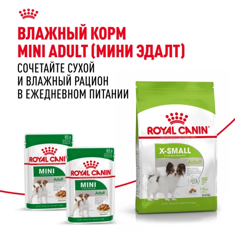 Сухой корм Royal Canin X-Small Adult для собак, 1,5 кг фото 9