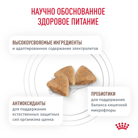 Сухой корм Royal Canin Gastrointestinal Puppy для щенков, 2,5 кг фото 3