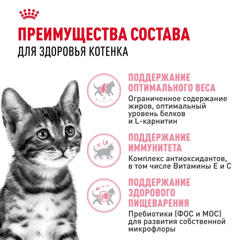 Сухой корм Royal Canin Kitten Sterilised для котят, 400 г фото 2