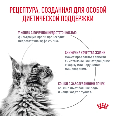 Сухой корм Royal Canin Renal для кошек при заболеваниях почек, 2 кг фото 2