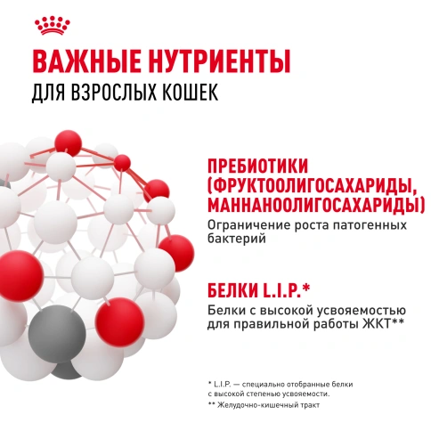 Сухой корм Royal Canin Digestive Care для кошек, 10 кг фото 5