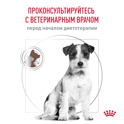 Сухой корм Royal Canin Gastrointestinal Low Fat Small Dogs для собак, 3 кг фото 5