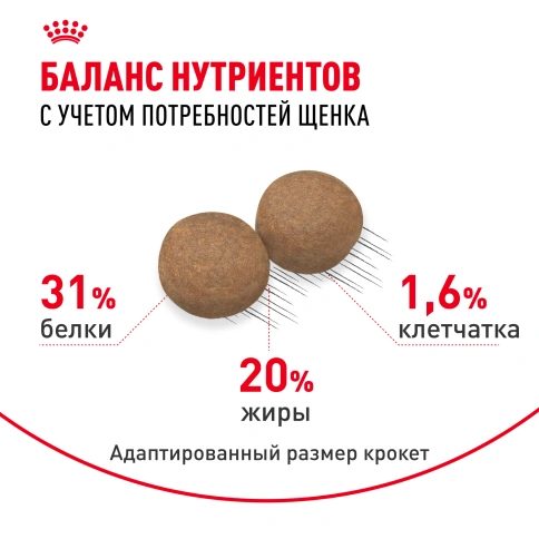 Сухой корм Royal Canin Mini Puppy для щенков, 4 кг фото 4