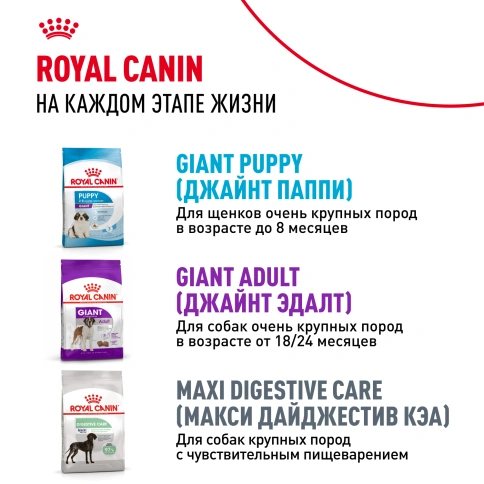 Сухой корм Royal Canin Giant Junior для щенков, 3,5 кг фото 8