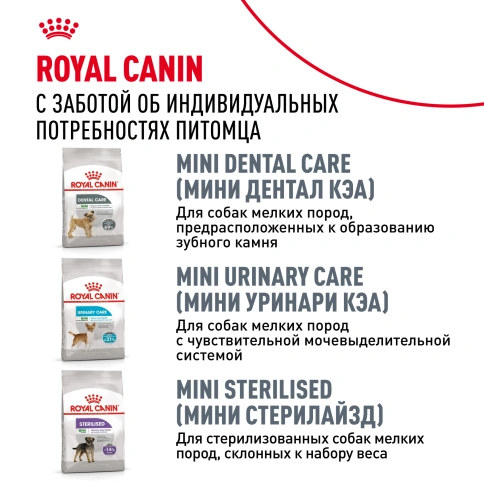Сухой корм Royal Canin Mini Digestive Care для собак, 1 кг фото 10