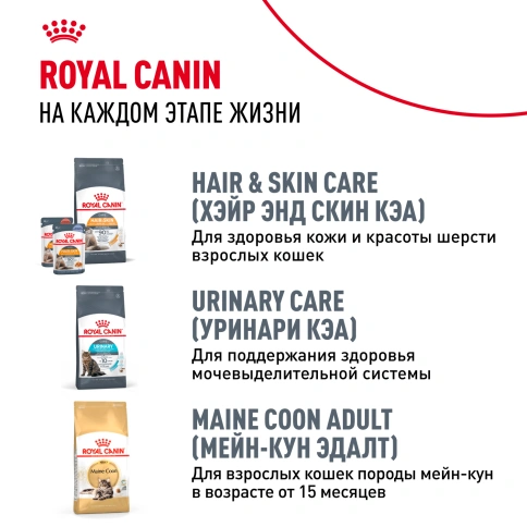 Сухой корм Royal Canin Kitten Maine Coon для котят, 4 кг фото 10