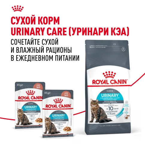 Влажный корм Royal Canin Urinary Care в соусе для кошек для поддержания здоровья мочевыделительной системы, пауч, 85 г фото 11