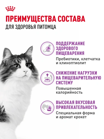 Сухой корм Royal Canin Sensible для кошек, 4 кг фото 18