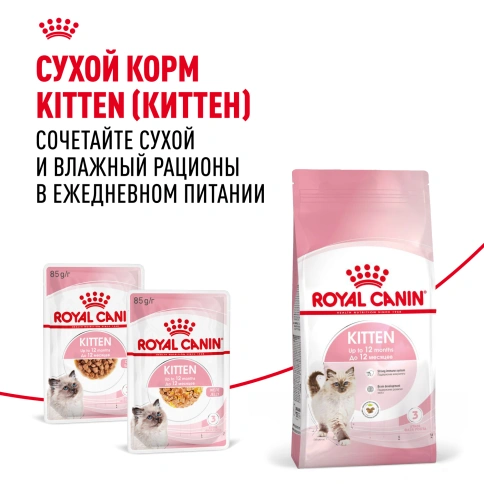 Влажный корм Royal Canin Kitten в желе для котят до 12 месяцев, пауч, 85 г фото 10