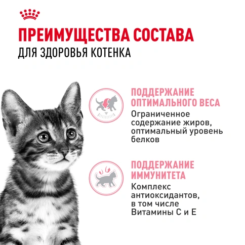 Влажный корм Royal Canin Kitten Sterilised в желе для стерилизованных котят до 12 месяцев, пауч, 85 г фото 3