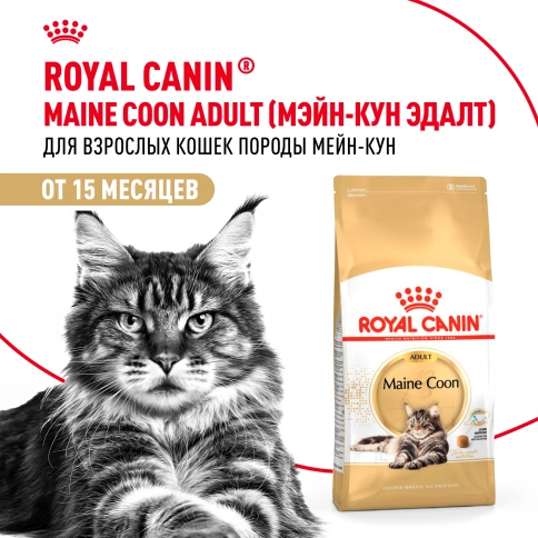 Сухой корм Royal Canin Maine Coon для кошек, 10 кг фото 13