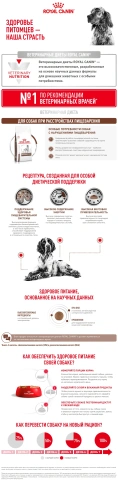 Сухой корм Royal Canin Gastrointestinal для собак, 2 кг фото 8