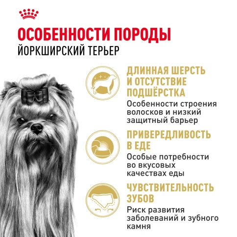 Сухой корм Royal Canin Yorkshire Terrier Adult для взрослых собак, 500 г фото 2