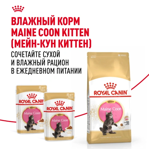 Сухой корм Royal Canin Kitten Maine Coon для котят, 4 кг фото 8