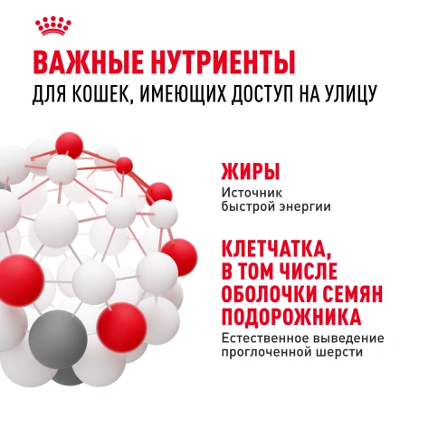 Сухой корм Royal Canin Fit для кошек, 4 кг фото 5