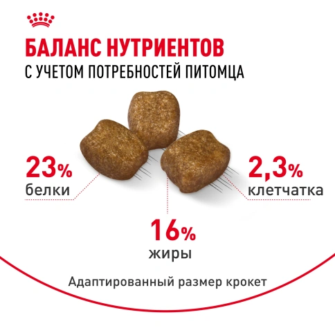 Сухой корм Royal Canin Mini Dental Care для собак, 3 кг фото 4